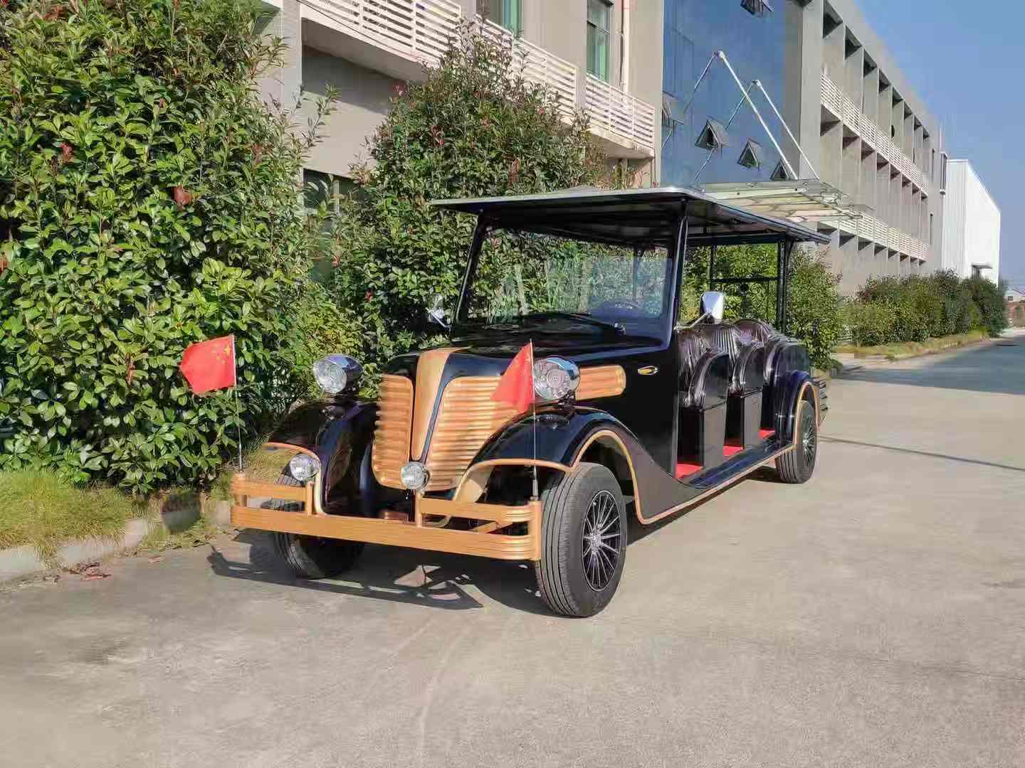 11座电动老爷车