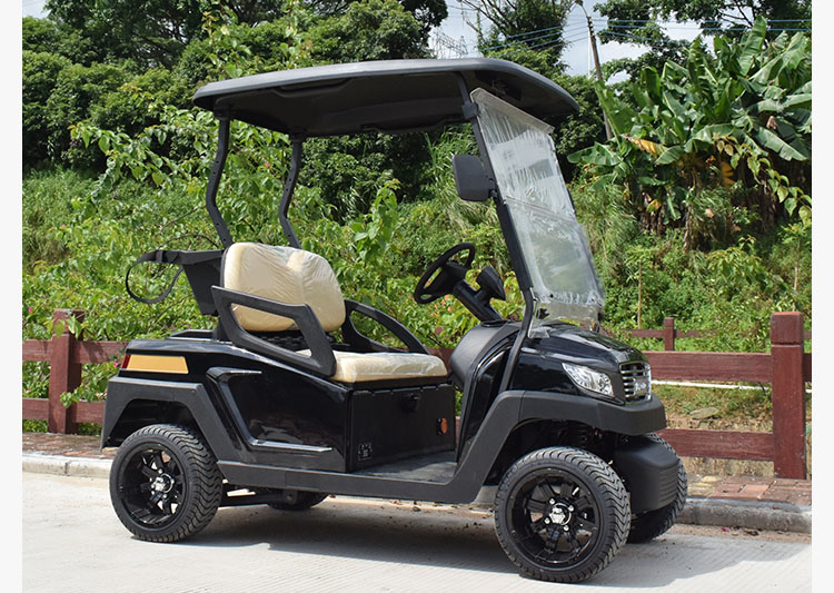 经典款2座电动高尔夫球车(M1S2)